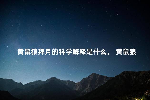 黄鼠狼拜月的科学解释是什么， 黄鼠狼学名叫什么